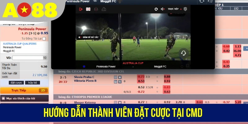 Hướng dẫn thành viên đặt cược tại CMD