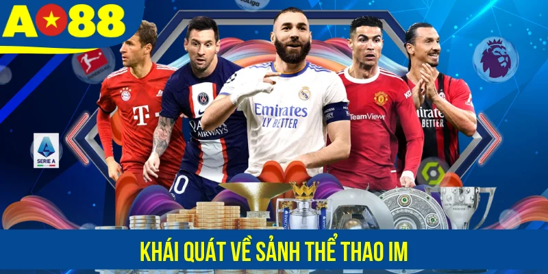 Khái quát về sảnh thể thao IM